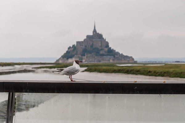 Quelles sont les raisons de choisir un hôtel offrant une vue sur la mer à Trouville ?